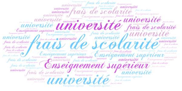 Le Conseil constitutionnel acte la gratuité de l'enseignement supérieur