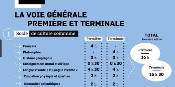 Politique des langues, ADN
