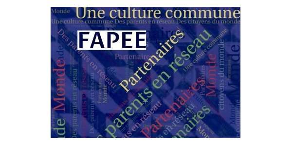 Problématiques_enseignement_langue_pays d'accueil : l'arabe