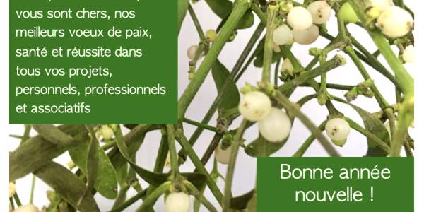 Bonne Année nouvelle !